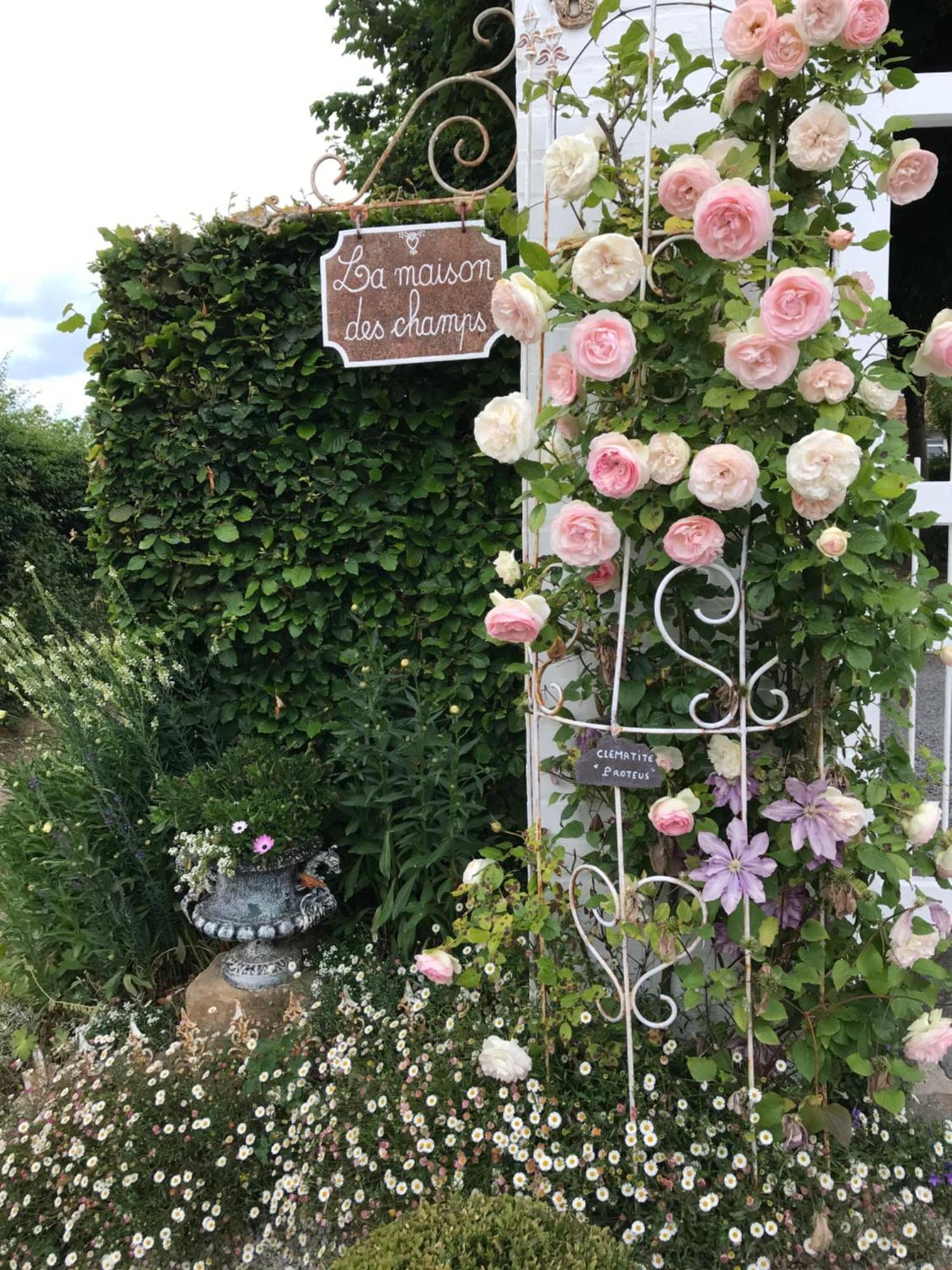 Avec Jardin 3 Couchages Proche Port Des Fontinettes